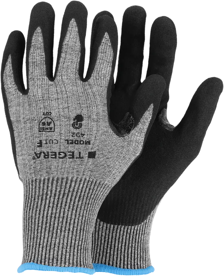 TEGERA 492